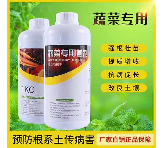 �߲ˌ��þ���-����