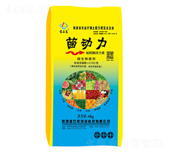 ���������ø������-��ʯ�R