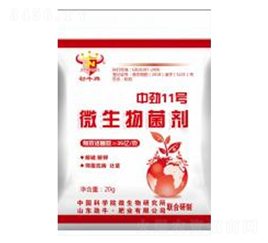 �Є�11̖΢�������-��ţ