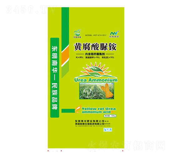 �S�������@-���A�ʘI(y��)