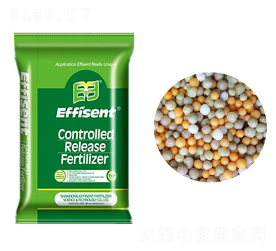 ȫ�ؿ�ጷ�-������