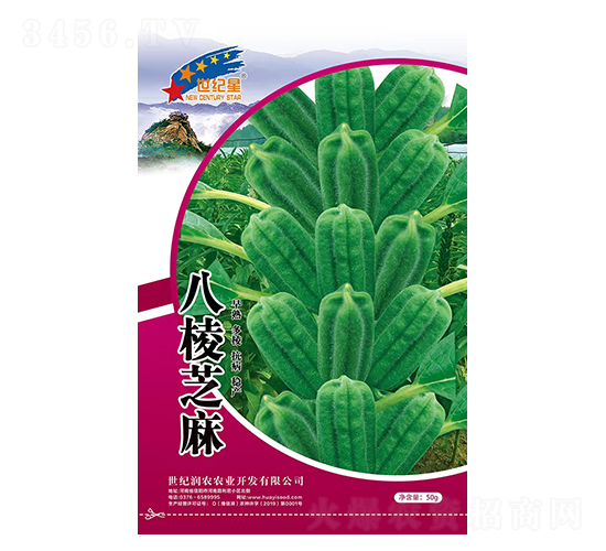 ����֥��-֥��N��-�Aһ�N�I(y��)