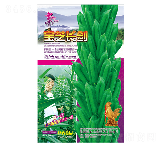 ��֥�L(zh��ng)��-֥��N��-�Aһ�N�I(y��)