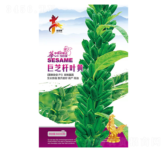 ��֥�U�~�S-֥��N��-�Aһ�N�I(y��)