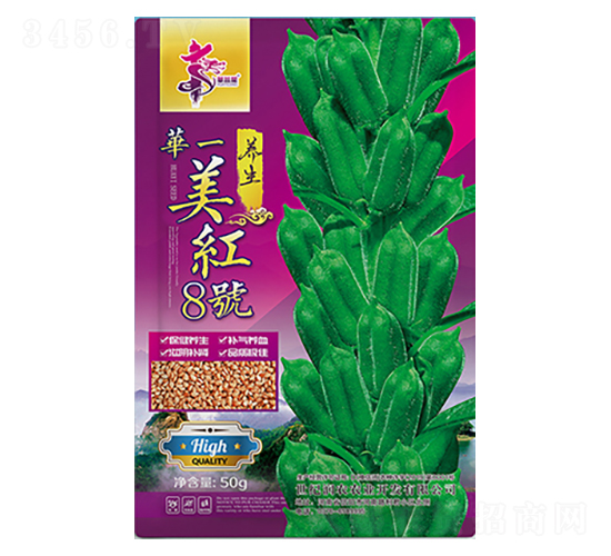 ���t8̖-֥��N��-�Aһ�N�I(y��)