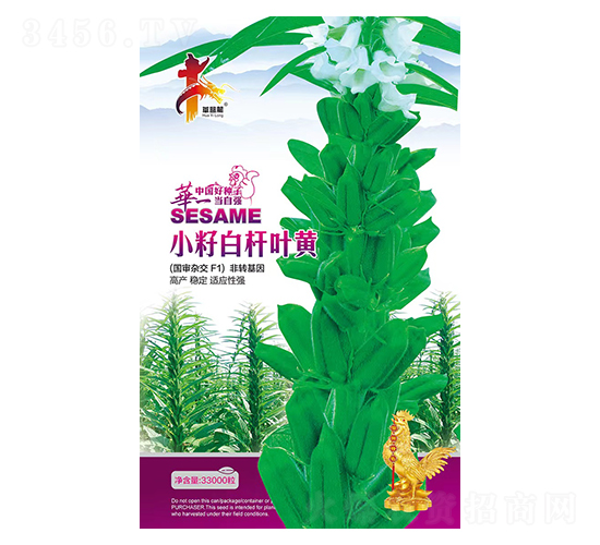 С�ѰחU�~�S-֥��N��-�Aһ�N�I(y��)