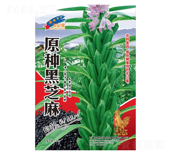 ԭ�N��֥��-֥��N��-�Aһ�N�I(y��)