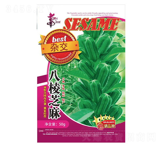 �s������֥��-֥��N��-�Aһ�N�I(y��)