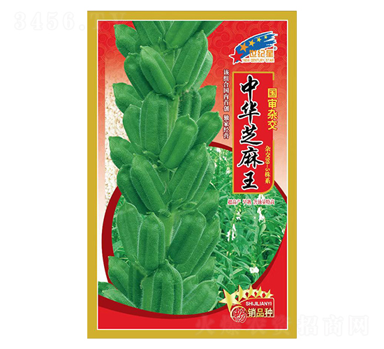 ���A֥����-֥��N��-�Aһ�N�I(y��)