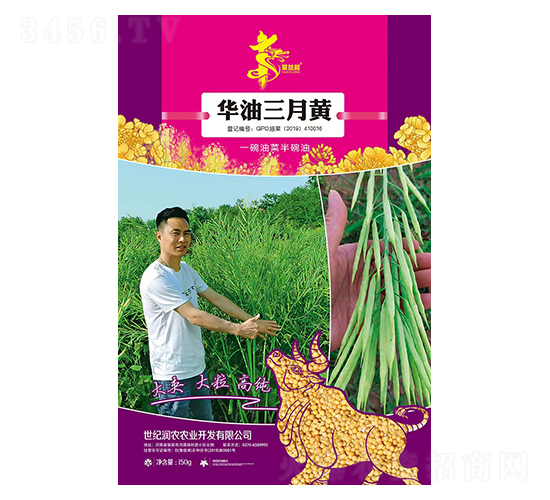 華油三月黃-油菜種子-華一種業(yè)