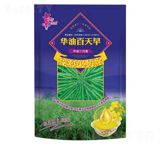 華油百天早-油菜種子-華一種業(yè)