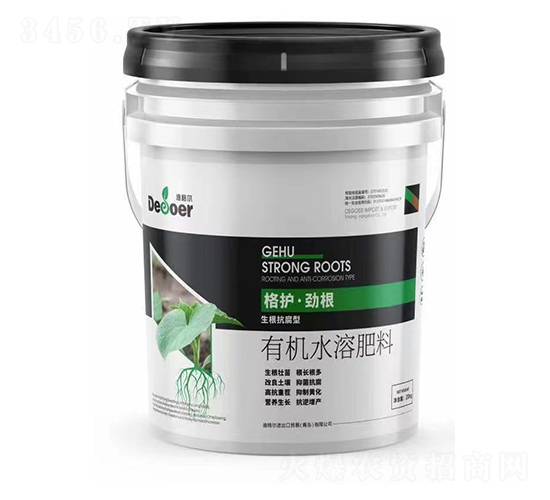 ���o���Ÿ�-�ϸ�