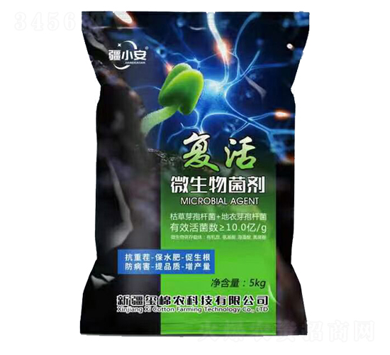 ��(f��)��΢�������-�t���r(n��ng)