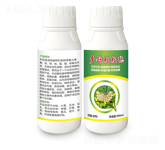 ����������-����