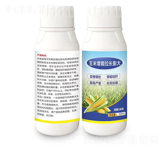 �����������L���-����