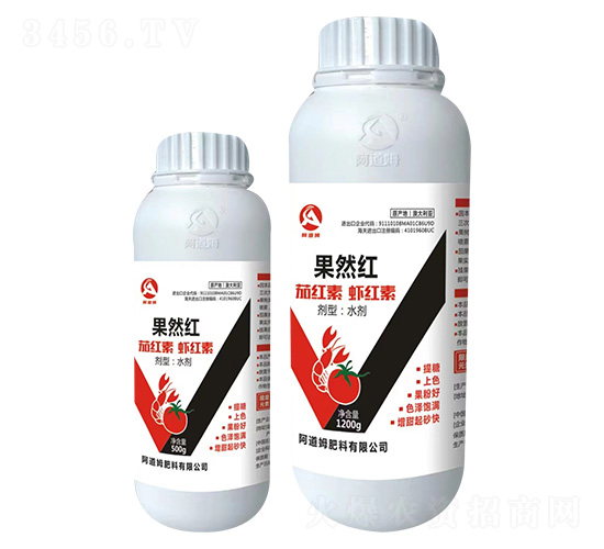 果然紅-阿道姆
