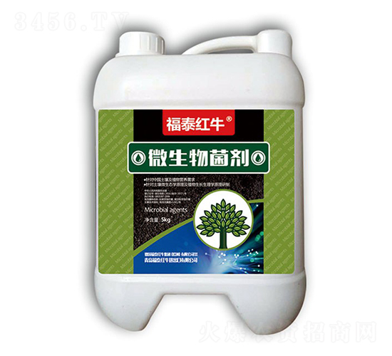 ΢�������-��̩�tţ