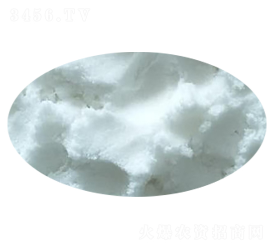 �����������@-��(sh��)�����B(t��i)