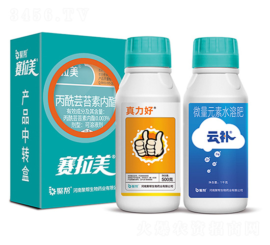 ِ����+������+���a(b��)-�ێ�