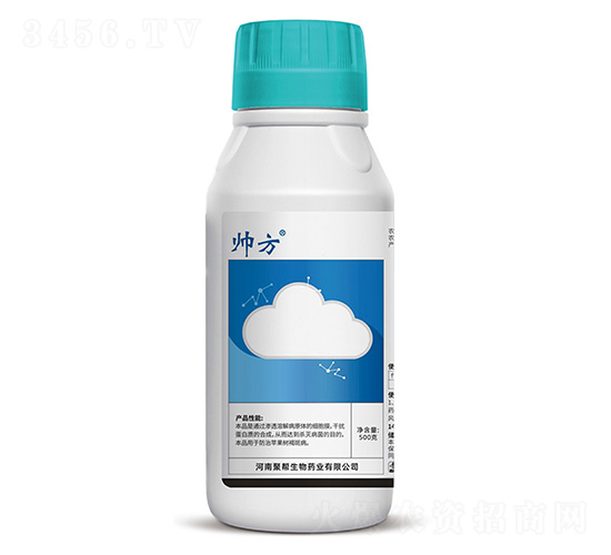 80%����������-����-�ێ�