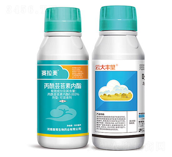 �ƴ��S��+ِ����-�ێ�