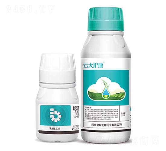 뿾���������+�ƴ��o(h��)��-�ێ�