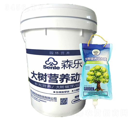 ���I�B(y��ng)��(d��ng)��Һ-ɭ��-�����r(n��ng)��