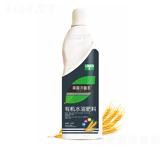 小麥需配有機水溶肥料-英露沃普豐