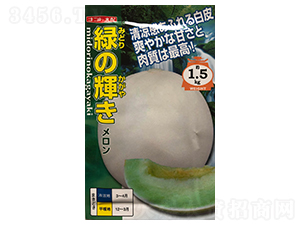 綠輝-甜瓜種子-山田盛種苗