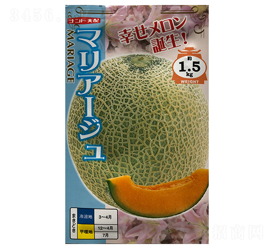 瑪麗婭-甜瓜種子-山田盛種苗