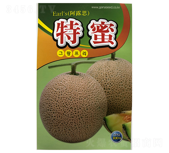 ����-��ϷN��-ɽ��ʢ�N��