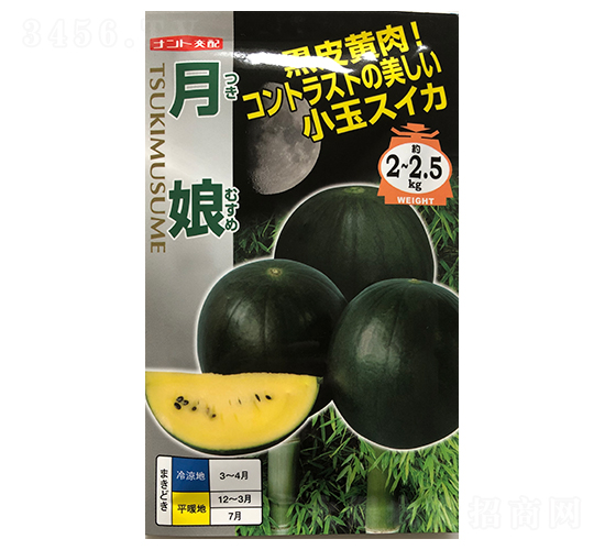 ����-���ϷN��-ɽ��ʢ�N��