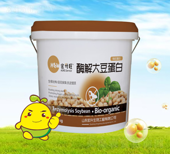 ø��󶹵���-��������