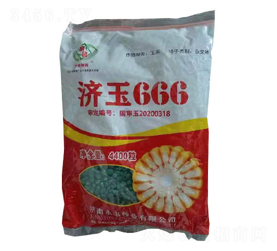 濟(jì)玉666-玉米種子-研創(chuàng)種業(yè)