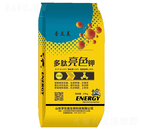 ������ɫ�-������-�ژ�(l��)��