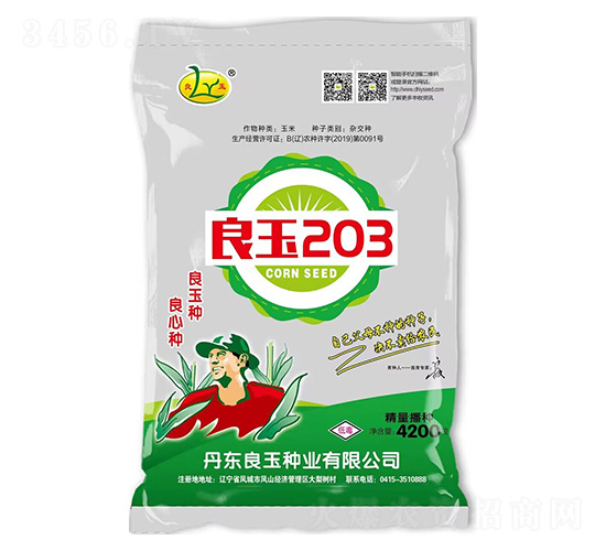 玉米種子-良玉203-良玉種業(yè)