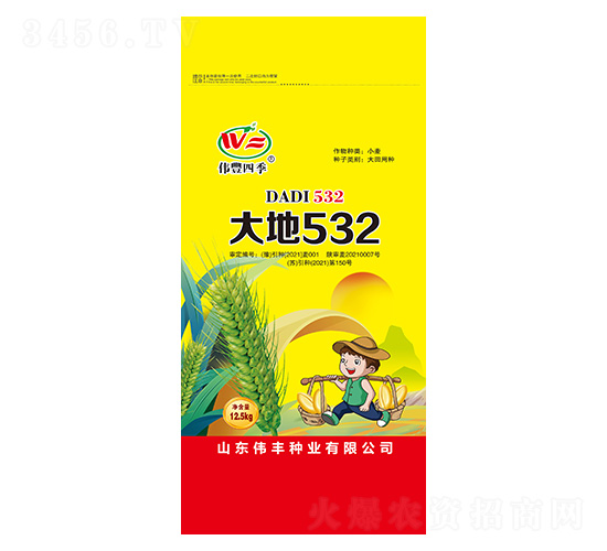 小麥種子-大地532-偉豐種業(yè)