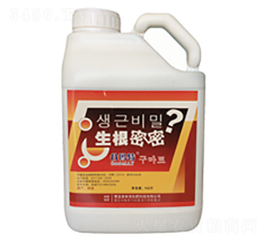 ��������-�Ȭ����H��