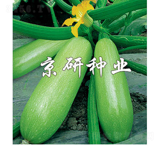 ����12̖-�����J�N��-���зN�I(y��)