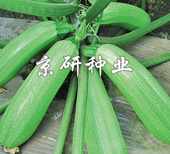 ���22̖(h��o)-�����J�N��-���зN�I(y��)