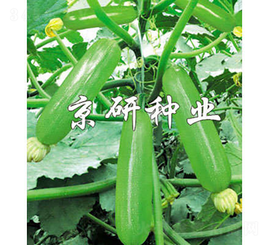 ���336-�����J�N��-���зN�I(y��)