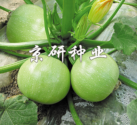 ����2̖-�����J�N��-���зN�I(y��)