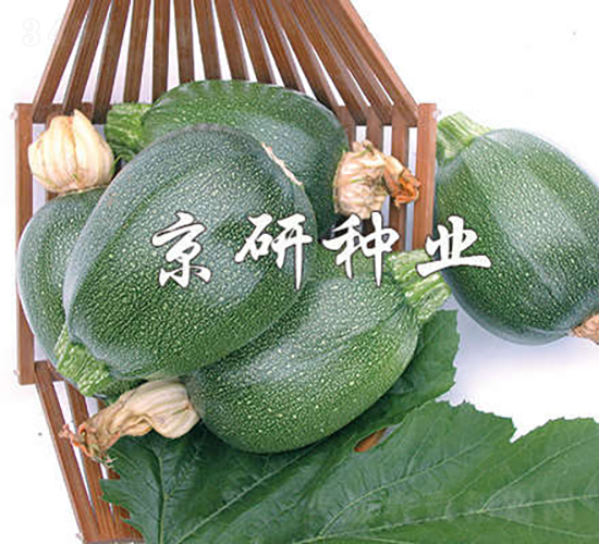 ����-�����J�N��-���зN�I(y��)