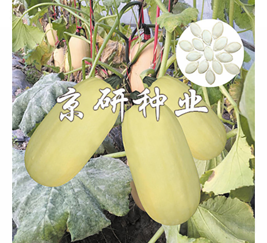 �������S2̖-�����J�N��-���зN�I(y��)