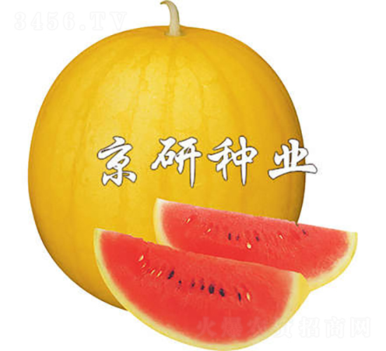 �SƤ����1̖-���ϷN��-���зN�I(y��)