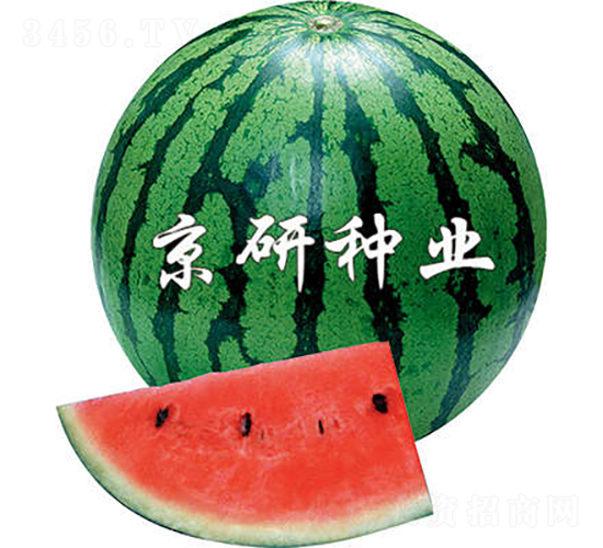 ����2̖(h��o)-���ϷN��-���зN�I(y��)