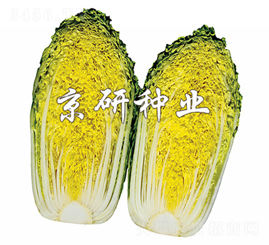 ������2̖-�ײ˷N��-���зN�I(y��)