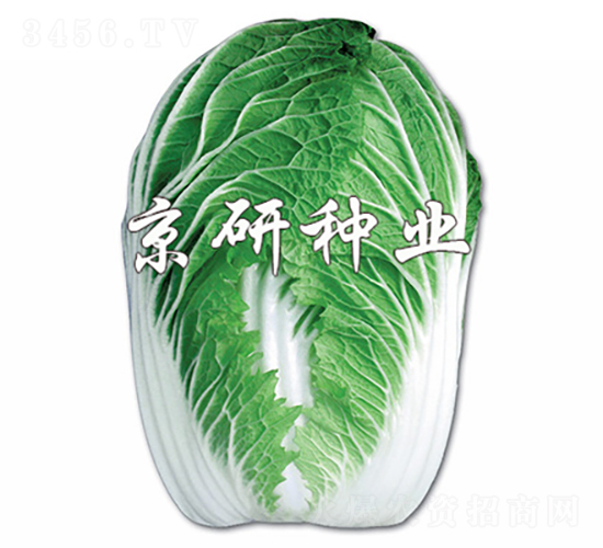 ������2̖(h��o)-�ײ˷N��-���зN�I(y��)