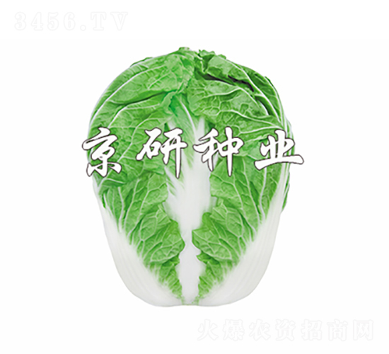 ����602-�ײ˷N��-���зN�I(y��)