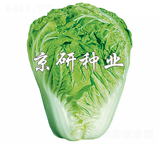 С�s60̖-�ײ˷N��-���зN�I(y��)